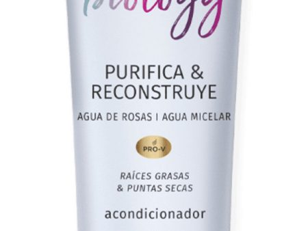 Pantene Pro-V Hair Biology Purifica & Reconstruye Acondicionador 160 ml, Para Raíces Grasas Y Puntas Secas Embalaje Deteriorado Online Sale